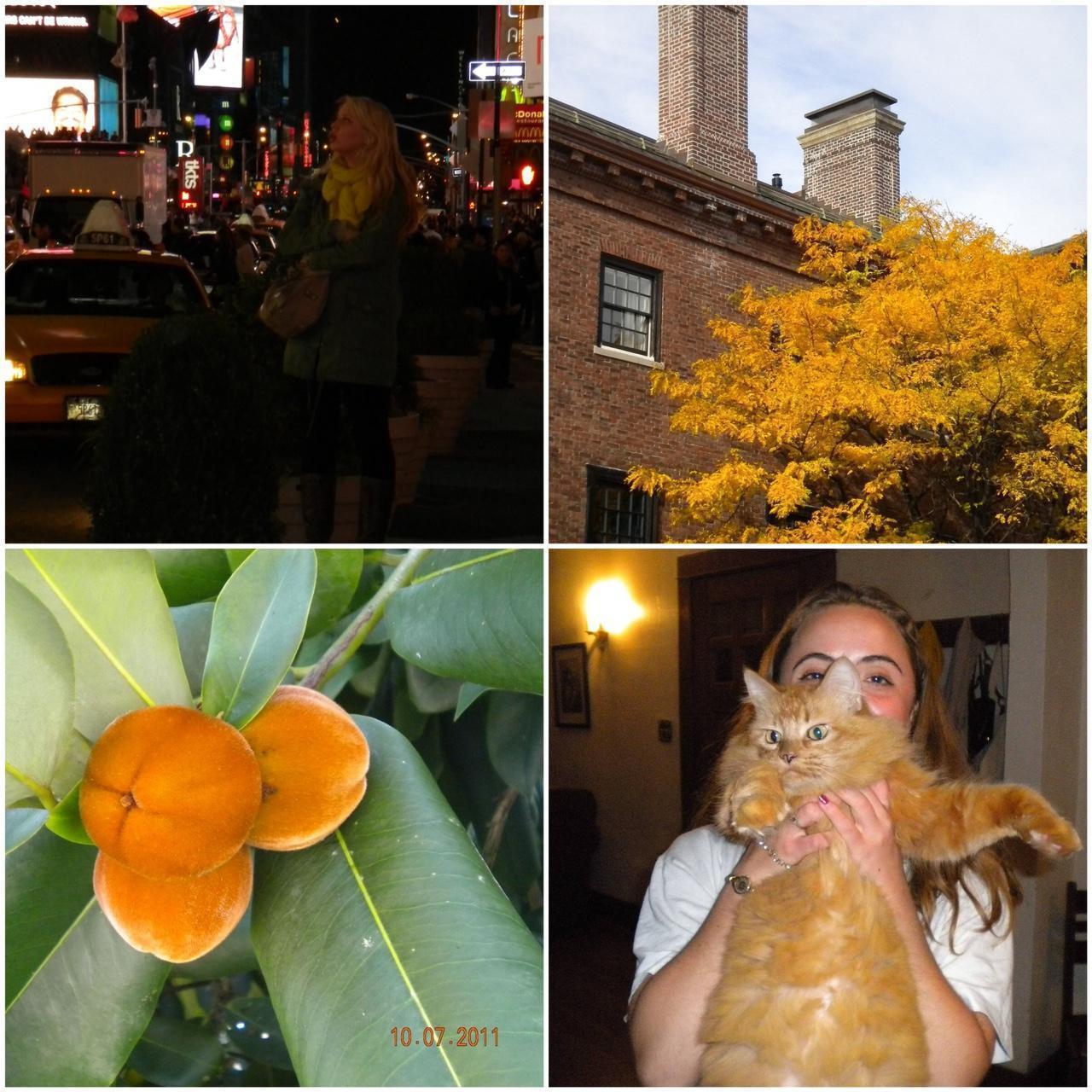 Geniune Pre-Owend Nikon Coolpix S220 Plum Digital Camera